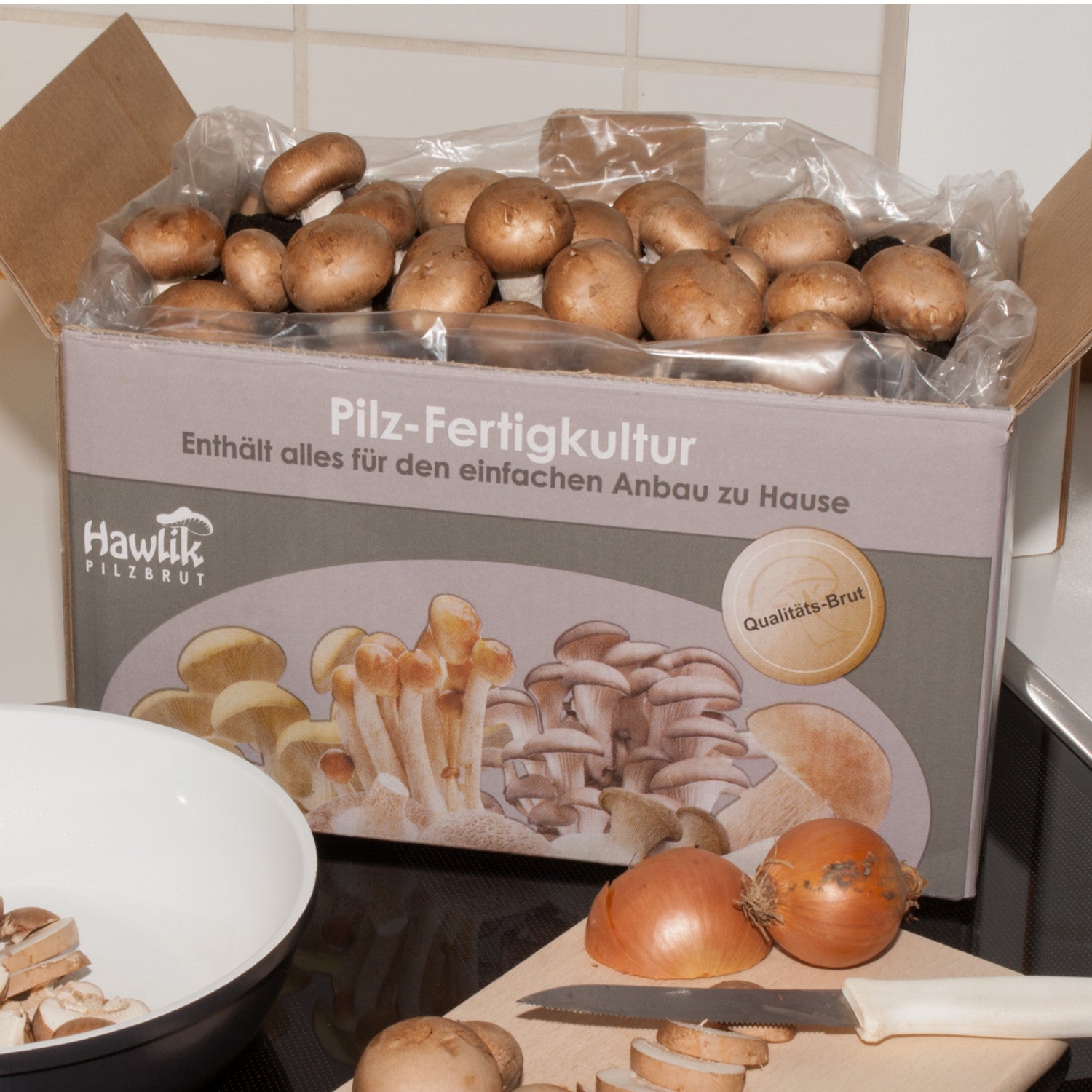 Hawlik Pilzbrut - Steinchampignon