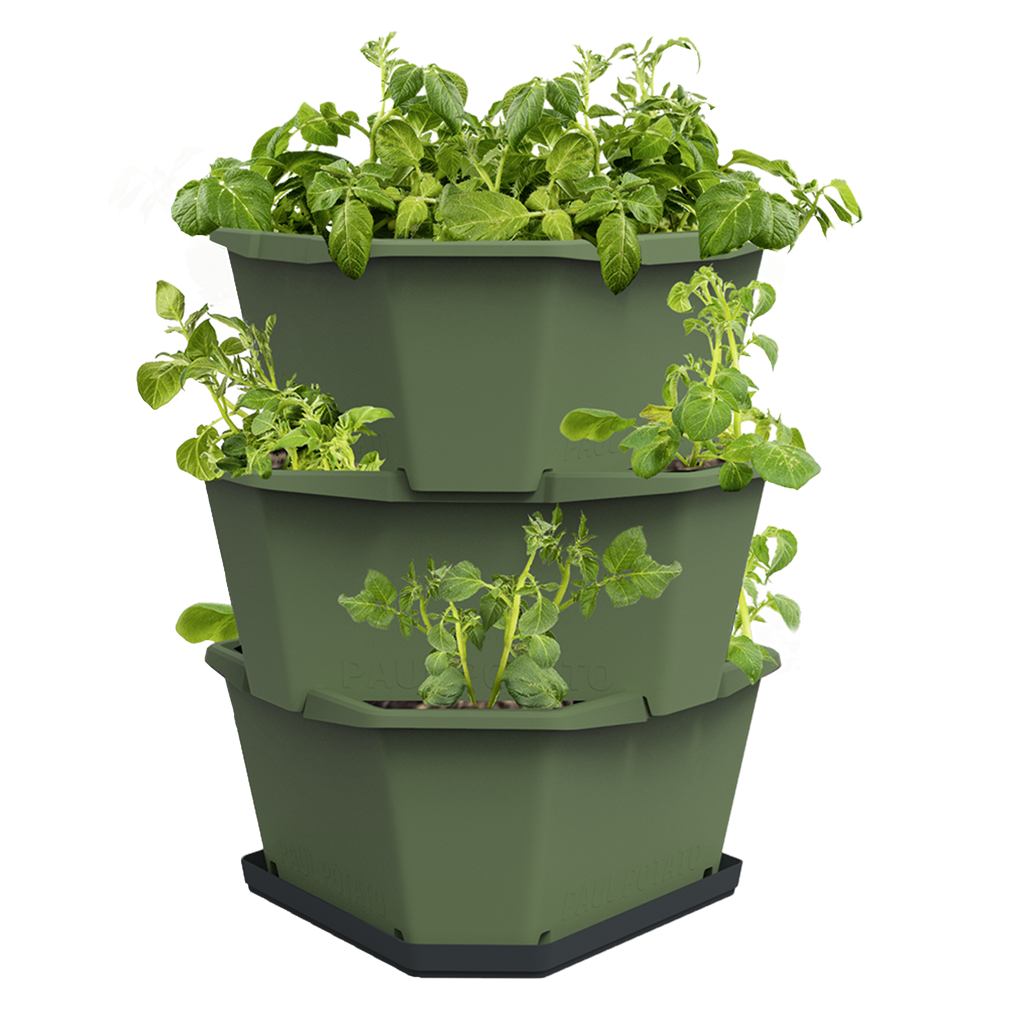 Klassische Pommes Frites doppelt frittiert Klassische Pommes Frites doppelt frittiert