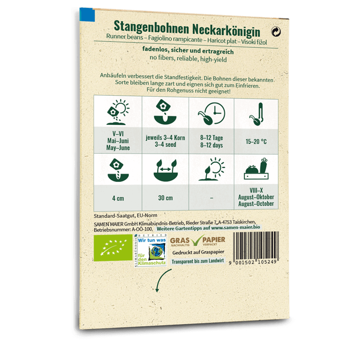 Samen Maier Stangenbohnen, Neckarkönigin, grün