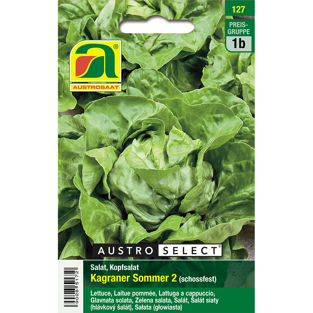 Austrosaat lettuce Kagraner summer 2 Austroselect