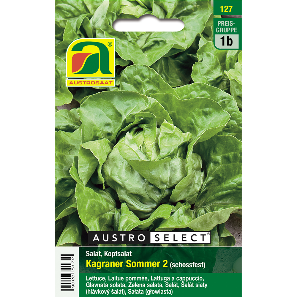 Austrosaat Kopfsalat Kagraner Sommer 2 Austroselect