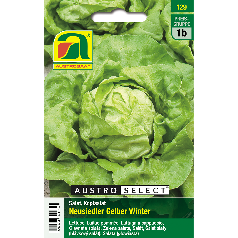 Austrosaat lettuce Neusiedl.Gelb.Winter Austroselect
