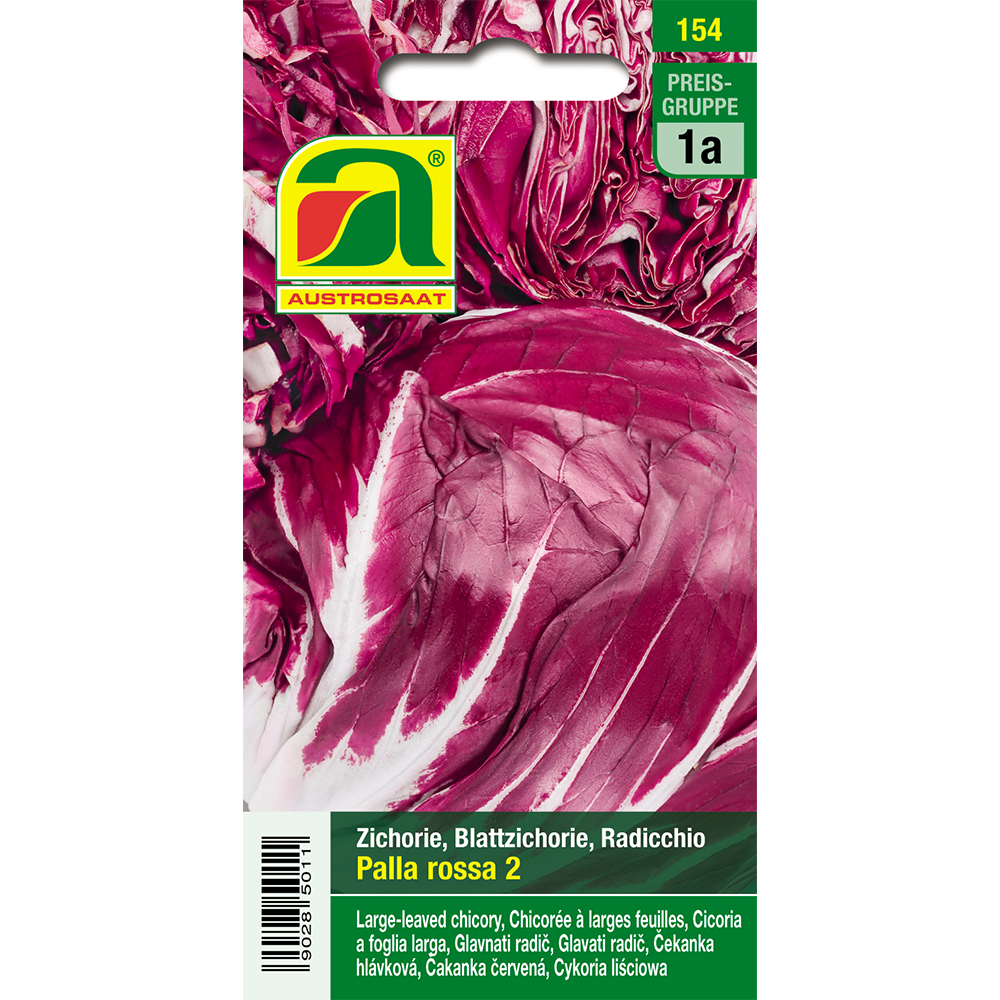 Austrosaat Zichoriensalat Palla Rossa 2