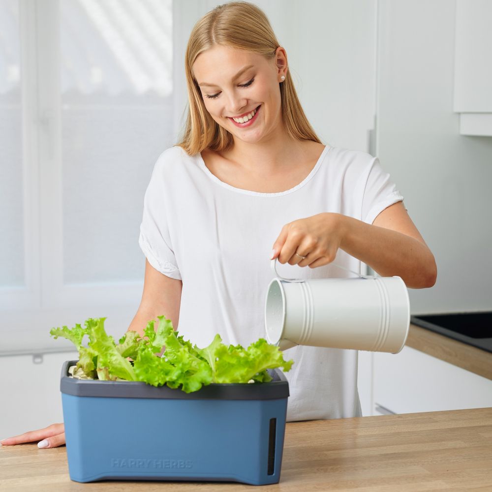 Hydroponics set