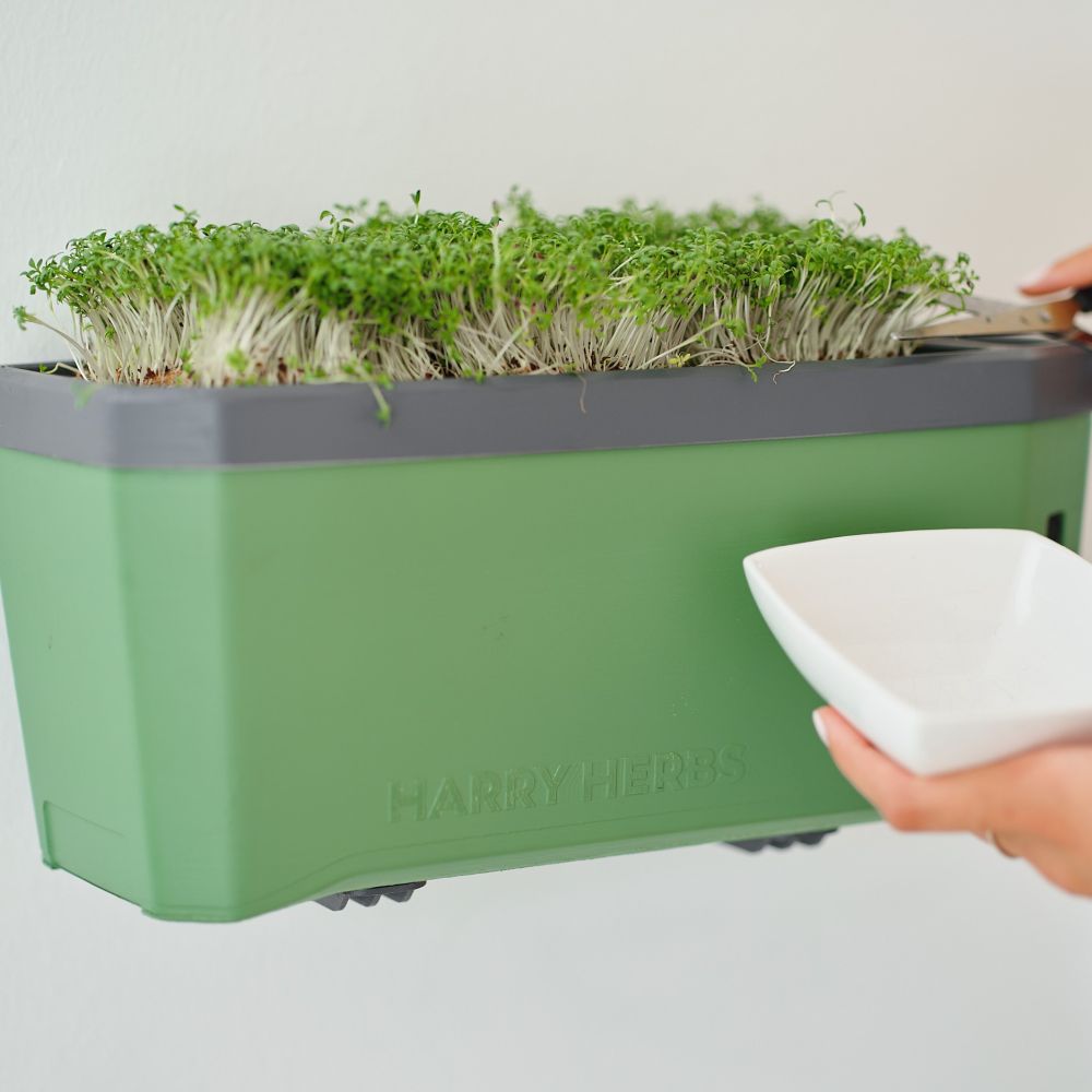 Microgreens refill kit