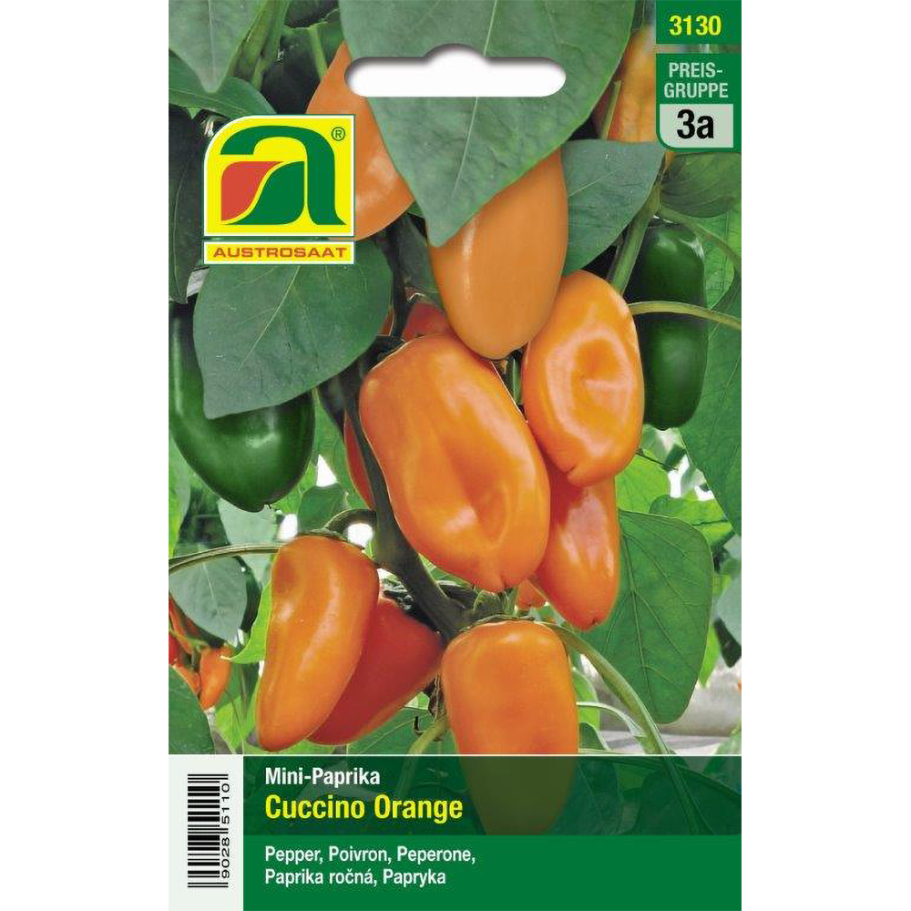 Austrosaat Paprika Cuccino Orange Austroselect