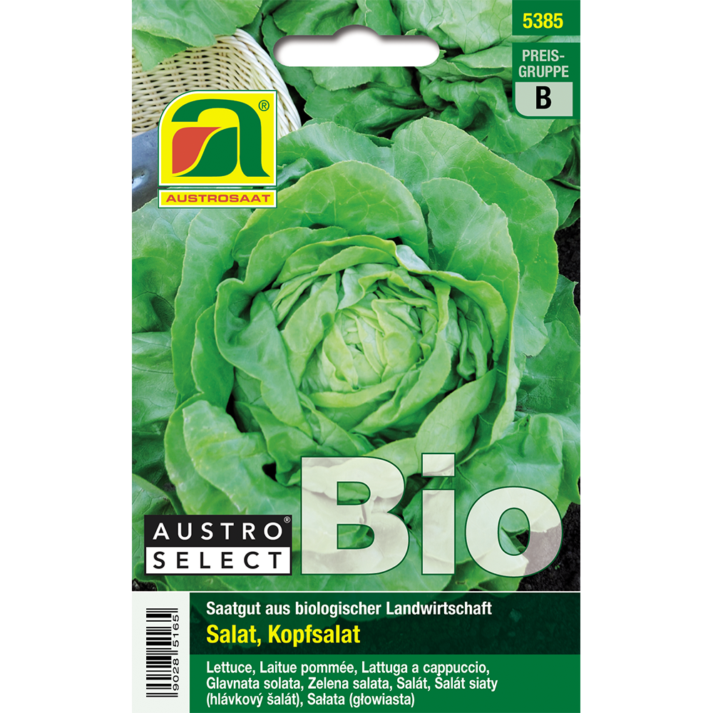 Austrosaat lettuce Admiral Austroselect organic seeds
