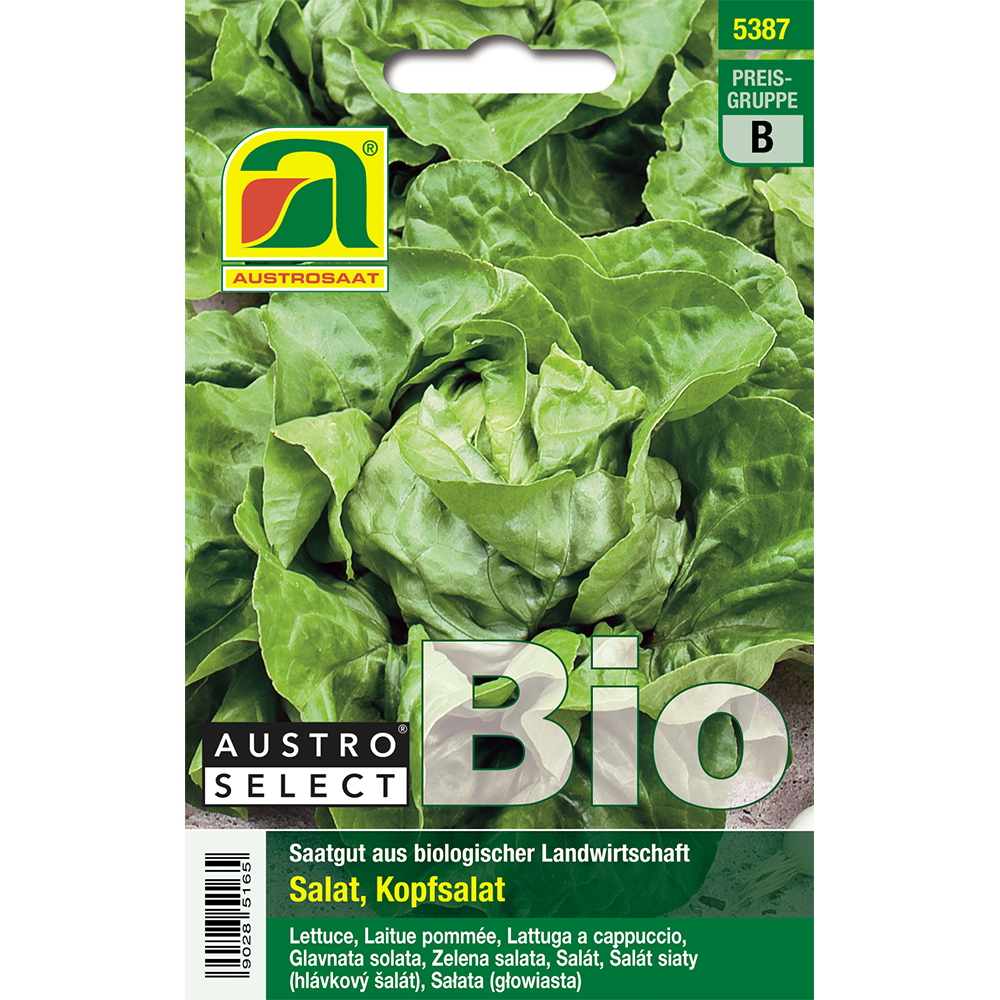 Austrosaat lettuce Kagraner summer 2 Austroselect organic seeds