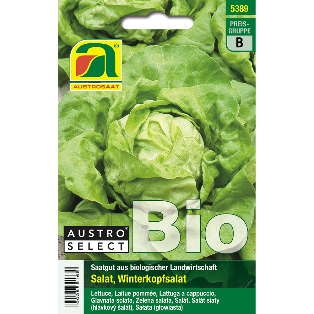 Austrosaat lettuce Neusiedl.Gelb.Winter Austroselect organic seeds