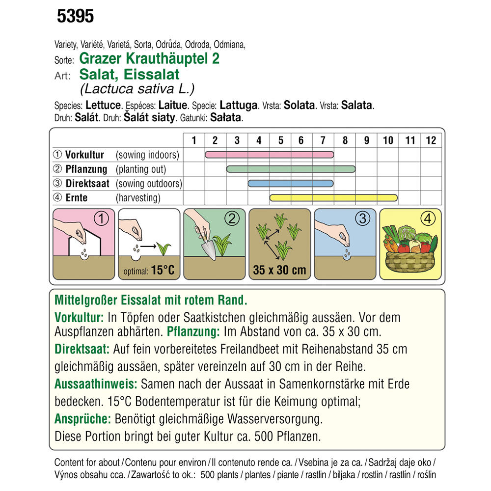 Austrosaat Eissalat Grazer Krauthäuptel 2 Austroselect Biosaatgut