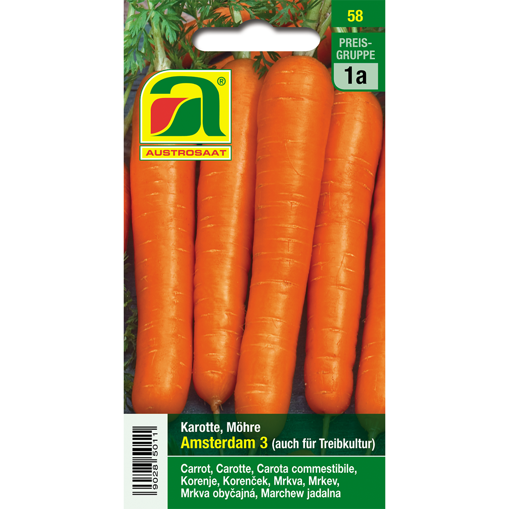 Austrosaat carrot Amsterdam 3