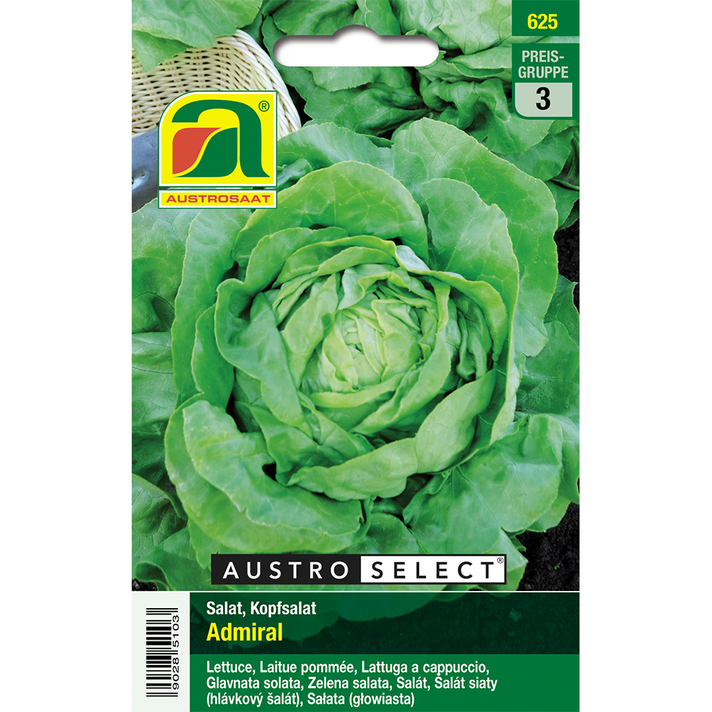 Austrosaat lettuce Admiral Austroselect