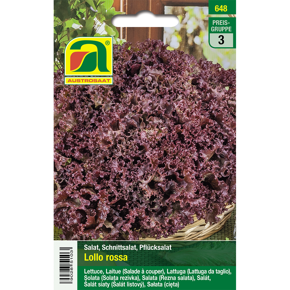 Austrosaat cut lettuce Lollo Rossa
