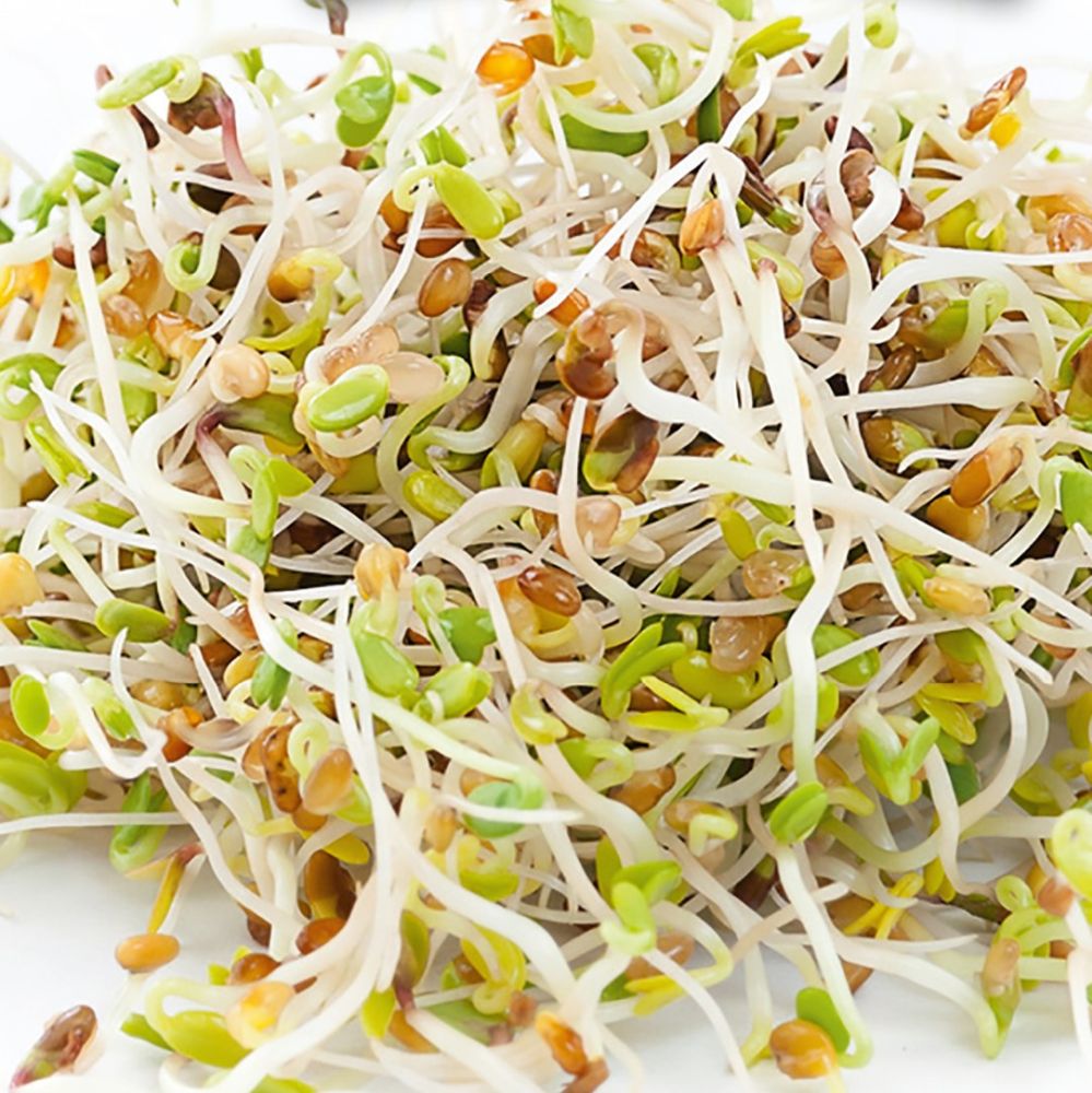 Microgreens refill kit