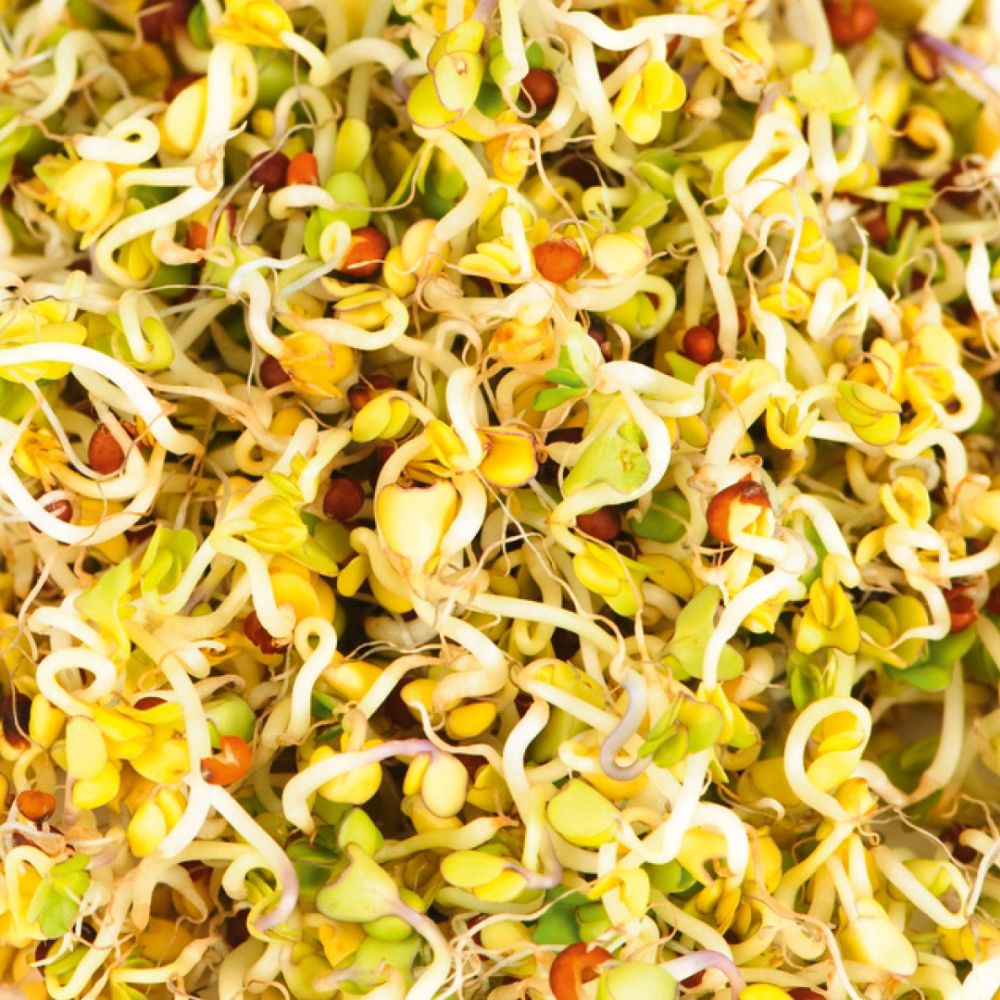 Microgreens refill kit