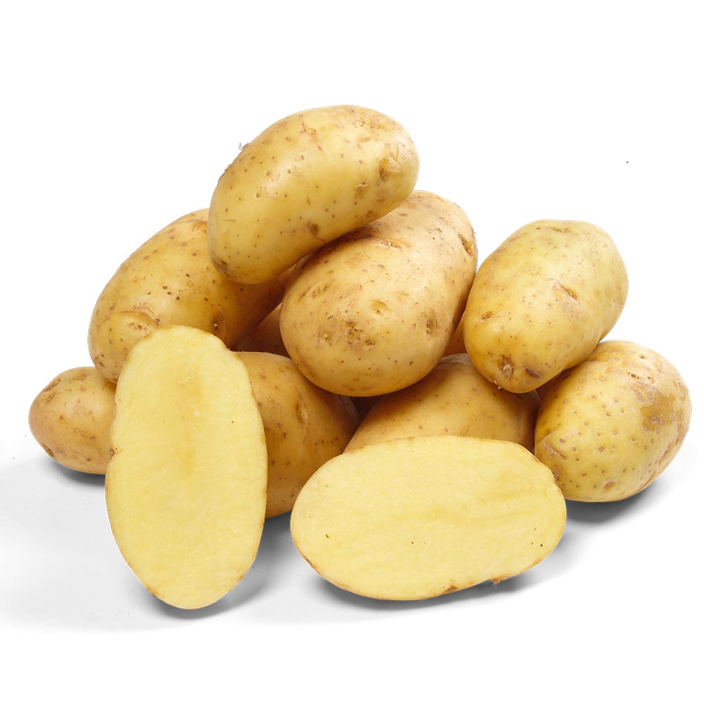 PAUL POTATO Starter Komplett-Set