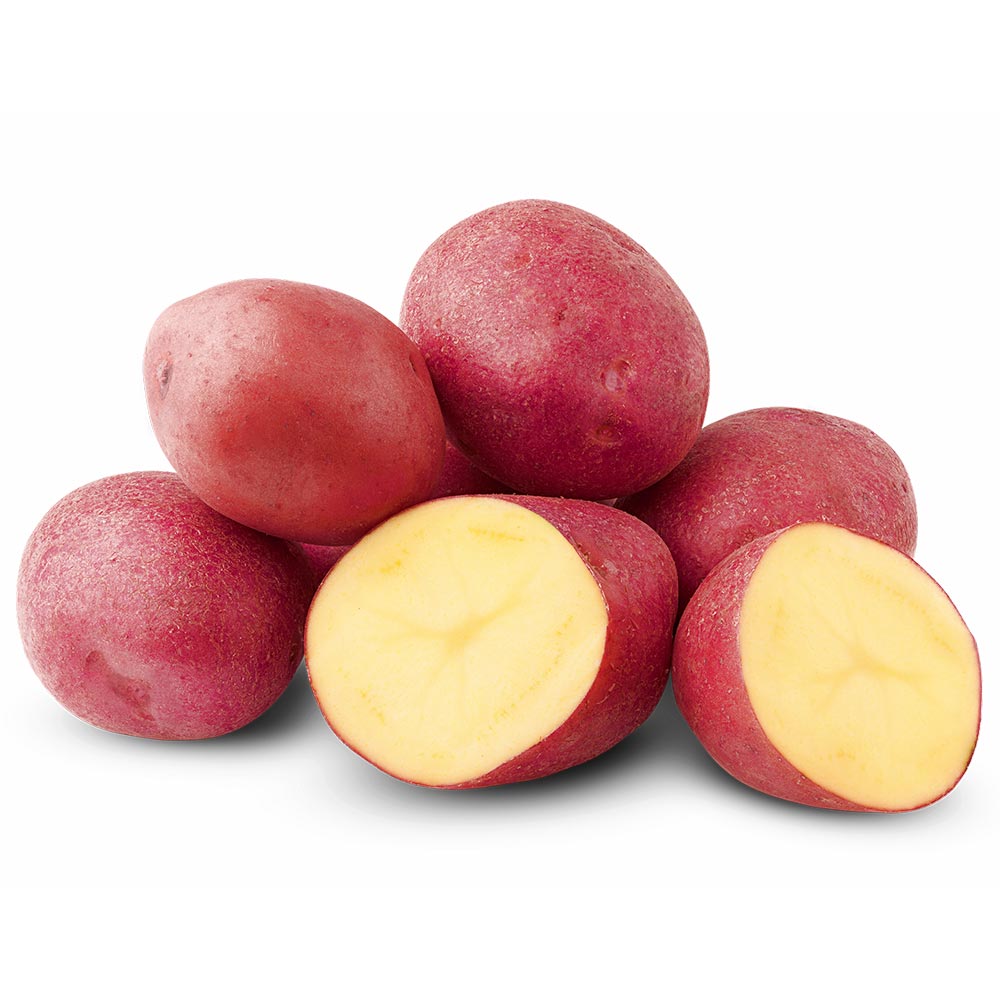 Seed potatoes "LunaRossa"