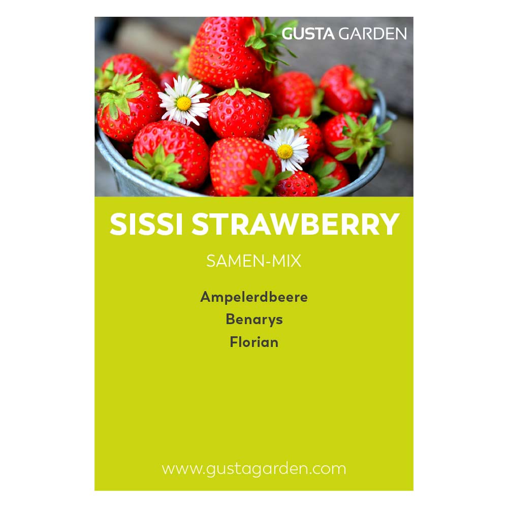 Nachfüll-Set für SISSI STRAWBERRY