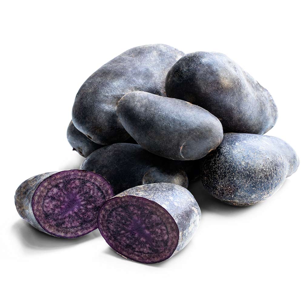 Seed potatoes “Violetta”