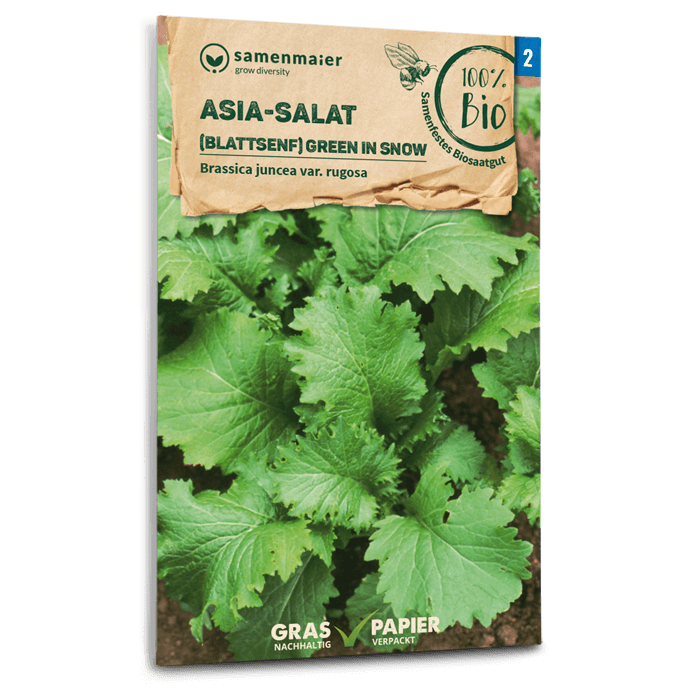 Samen Maier Asia-Salat (Blattsenf), Green in Snow