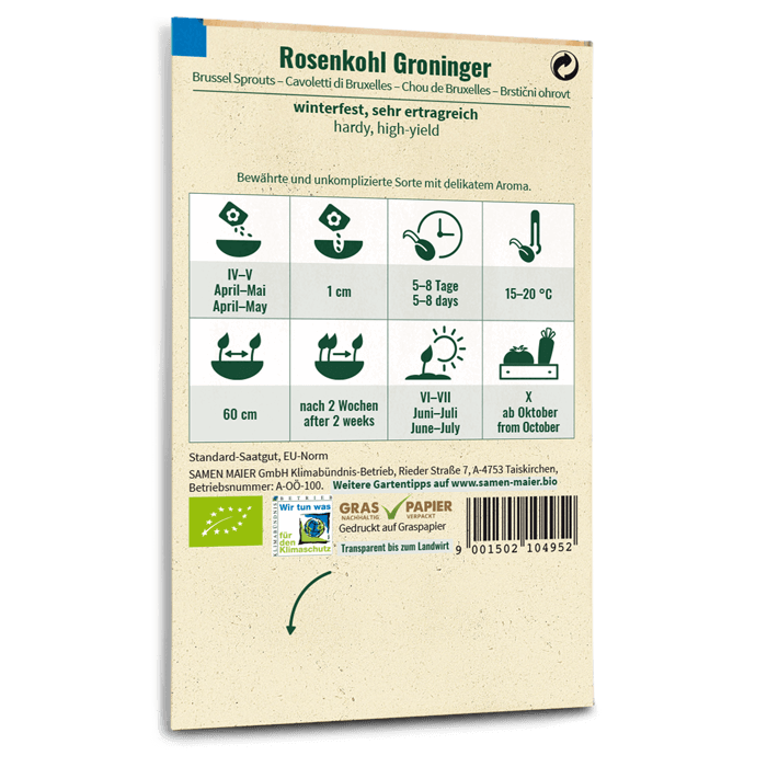 Samen Maier Rosenkohl, Groninger
