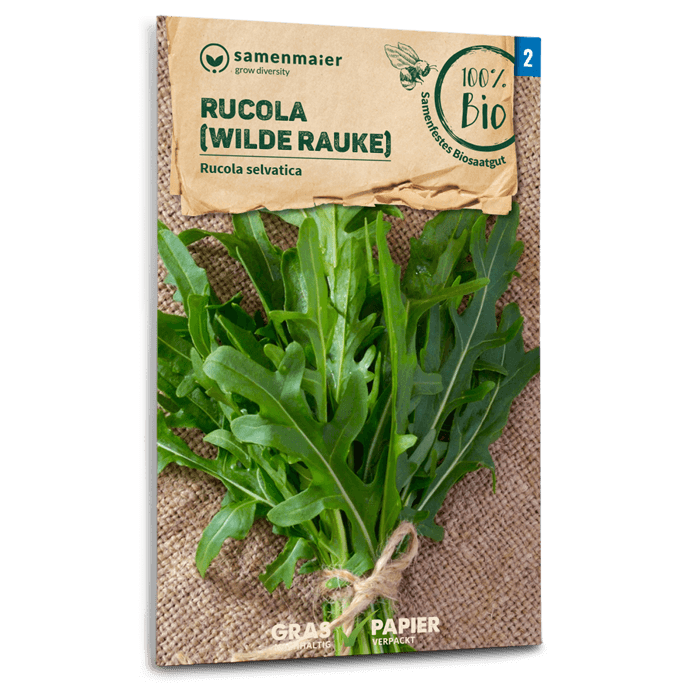 Samen Maier Rucola (Wilde Rauke)