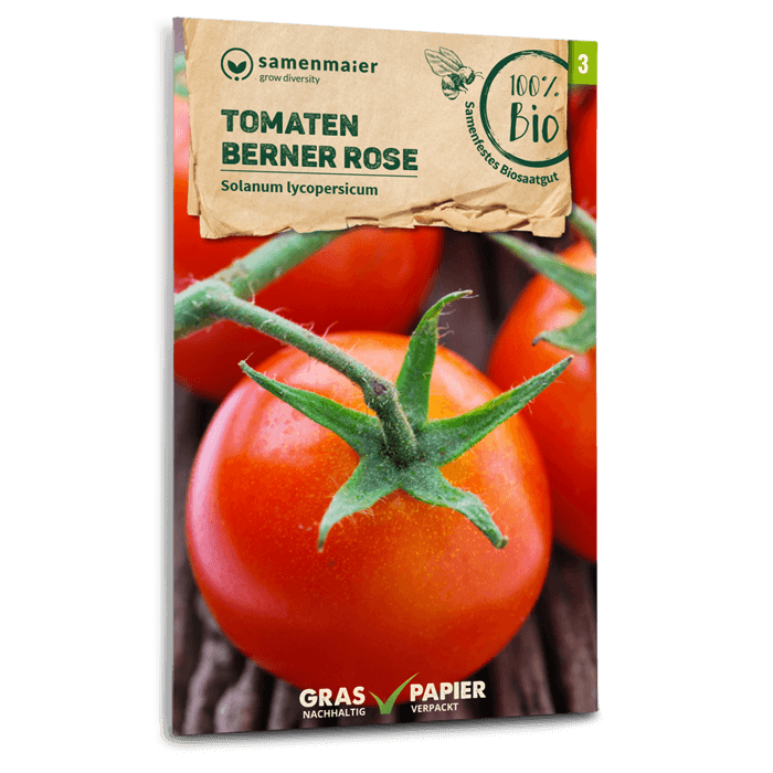 Samen Maier Tomaten, Berner Rose (Fleischtomate)