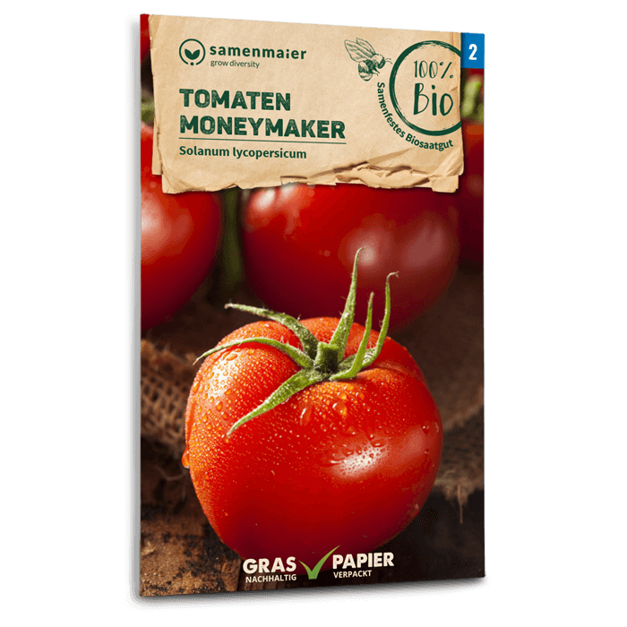 Samen Maier Tomaten, Moneymaker