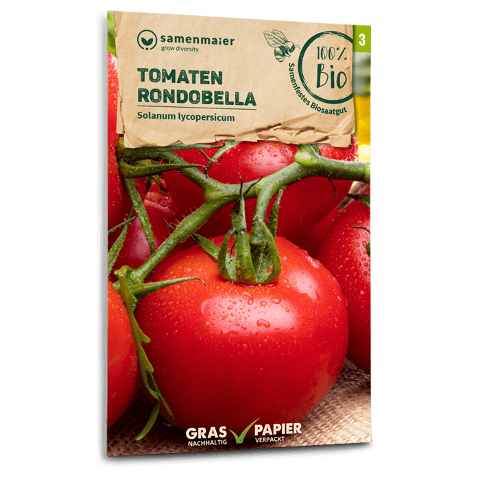 Samen Maier Tomaten, Rondobella