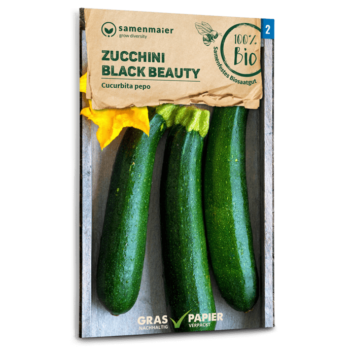 Samen Maier Zucchini, Black Beauty