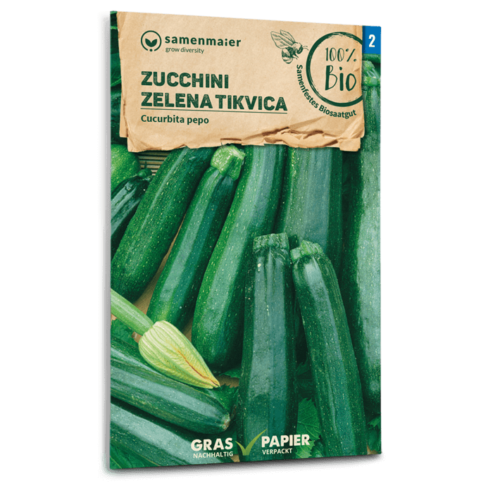 Samen Maier Zucchini, Zelena Tikvica