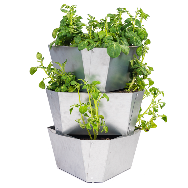 PAUL-POTATO-Starter-steel_3Etagen