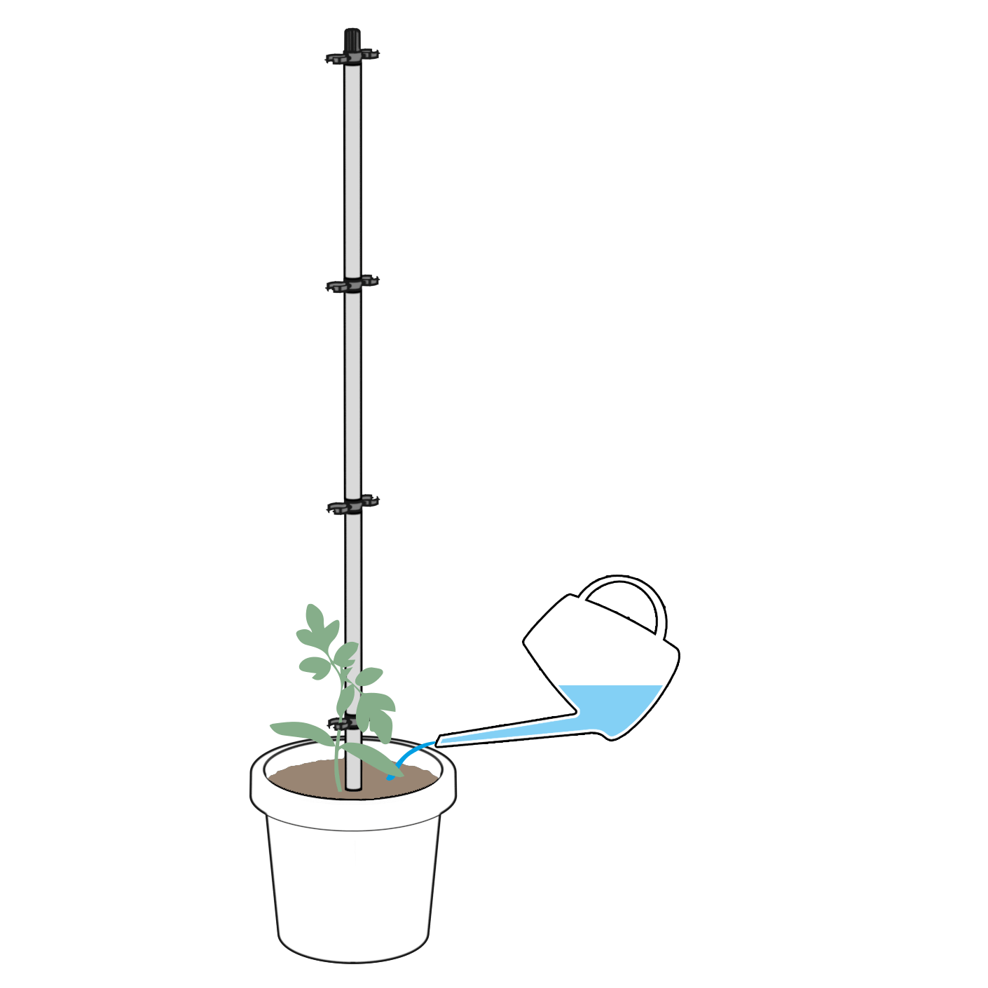 2021-02-19_TB_HowTo_07_qu TOMATO-BUDDY-Growing3