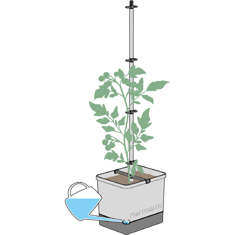 TOM TOMATO Anleitung für den Auf- & Anbau - Gusta Garden