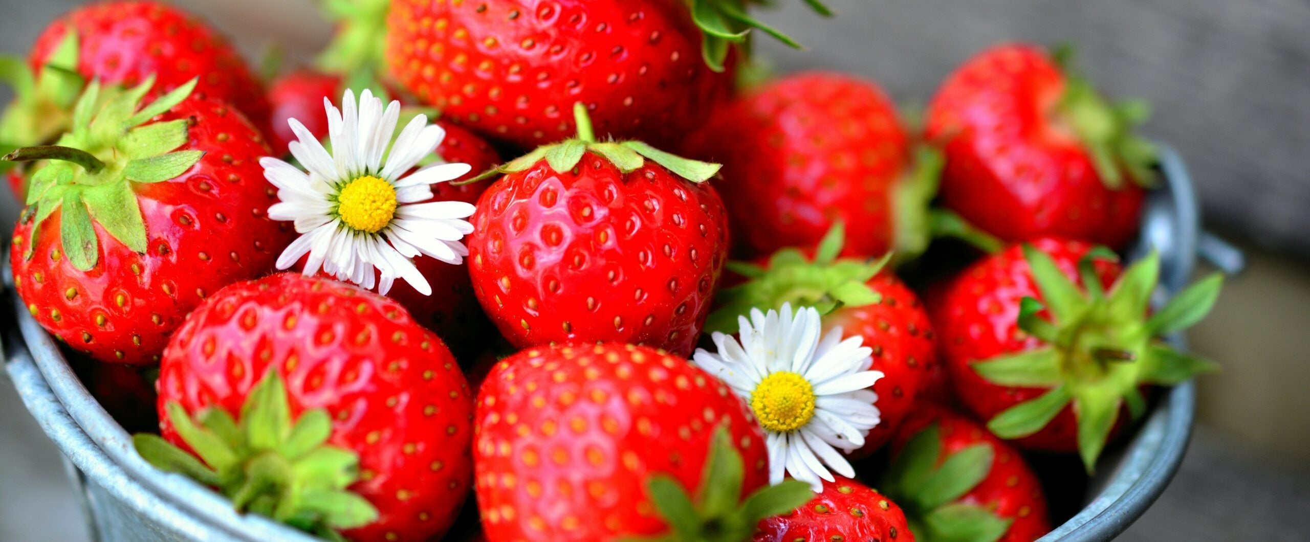 strawberries-3974840_ strawberries-3974840_