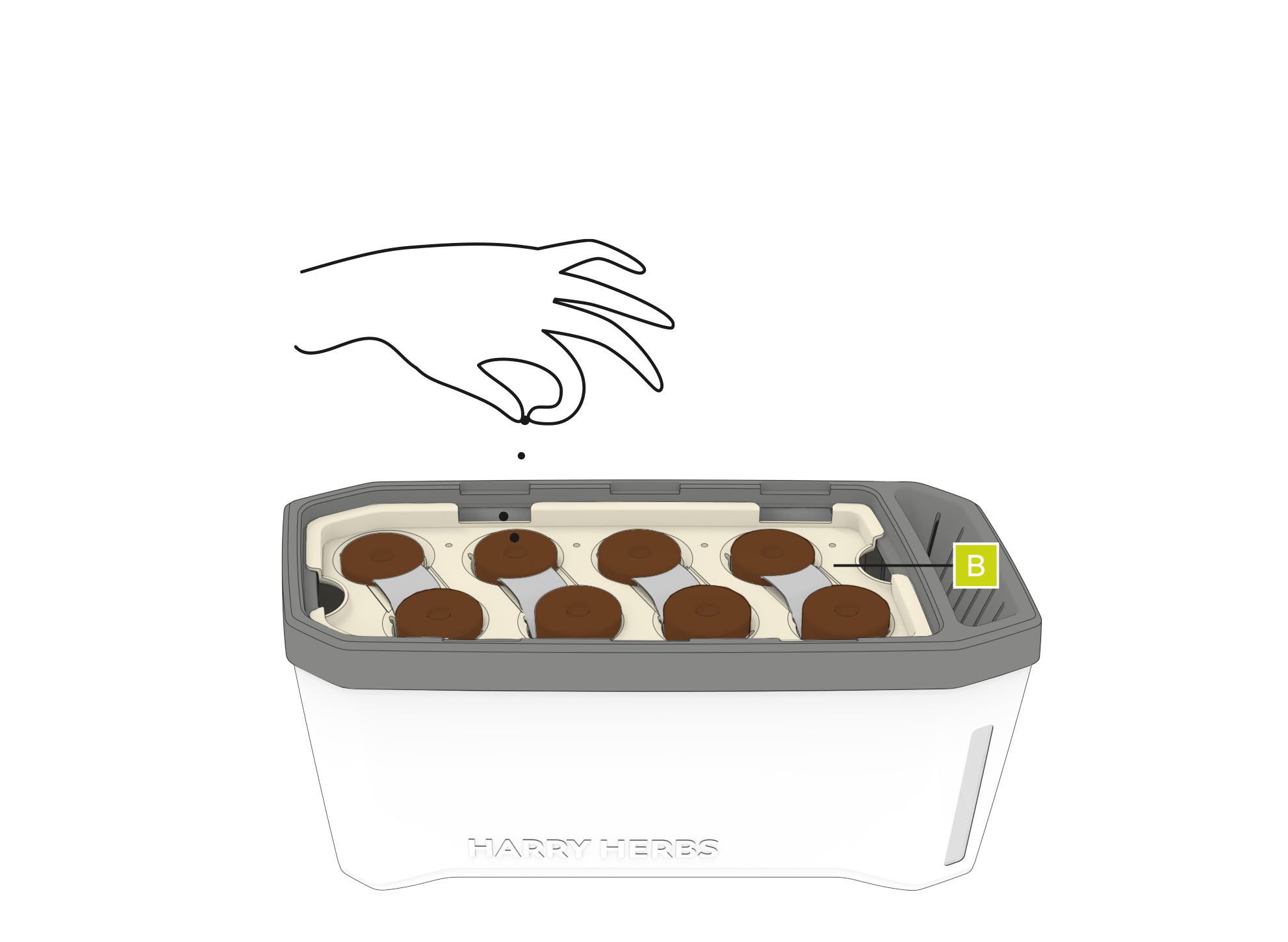 HH_Anzucht_Schritt_6mit hand_braun