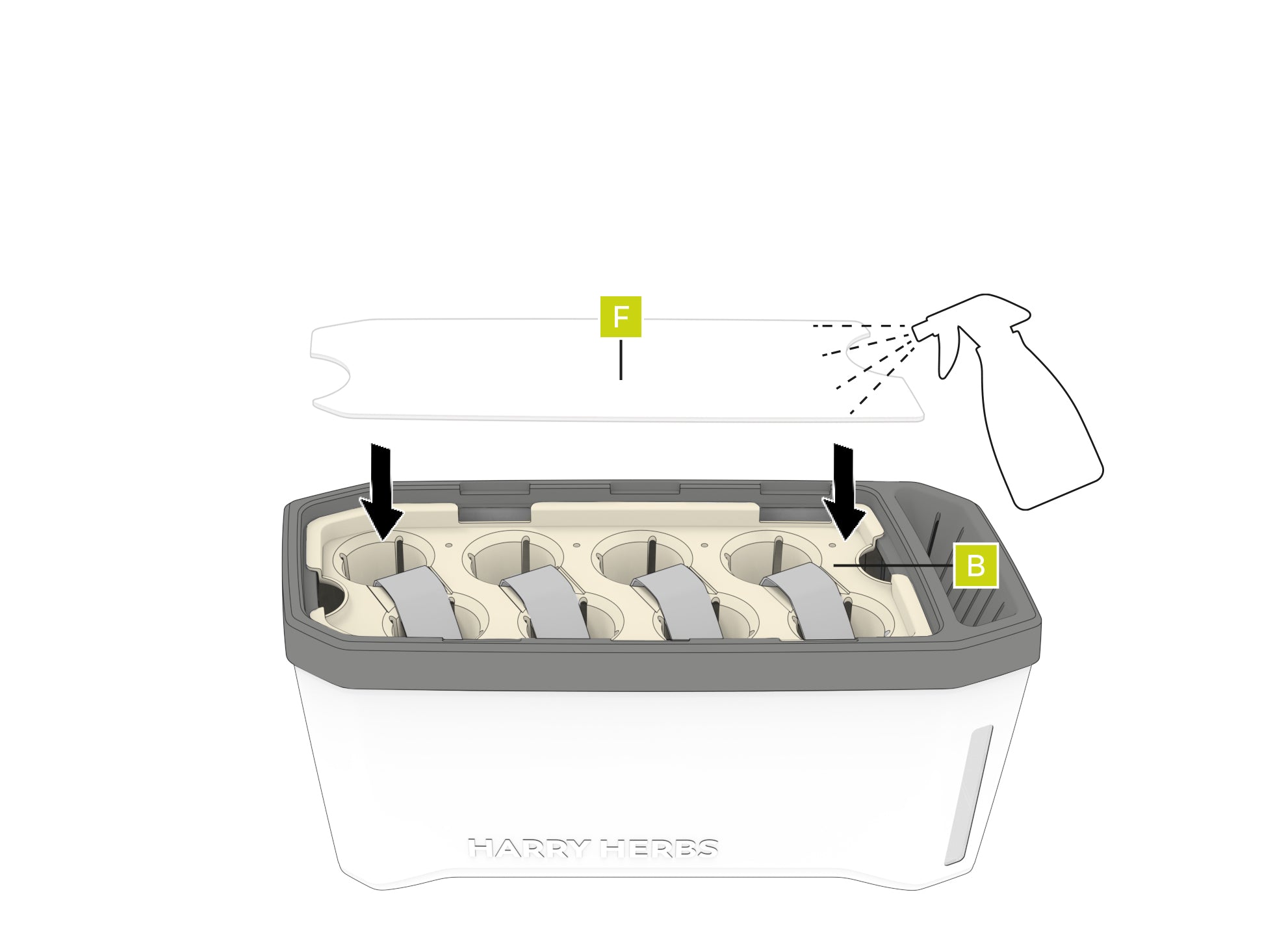 HH_Microgreen_Schritt_6