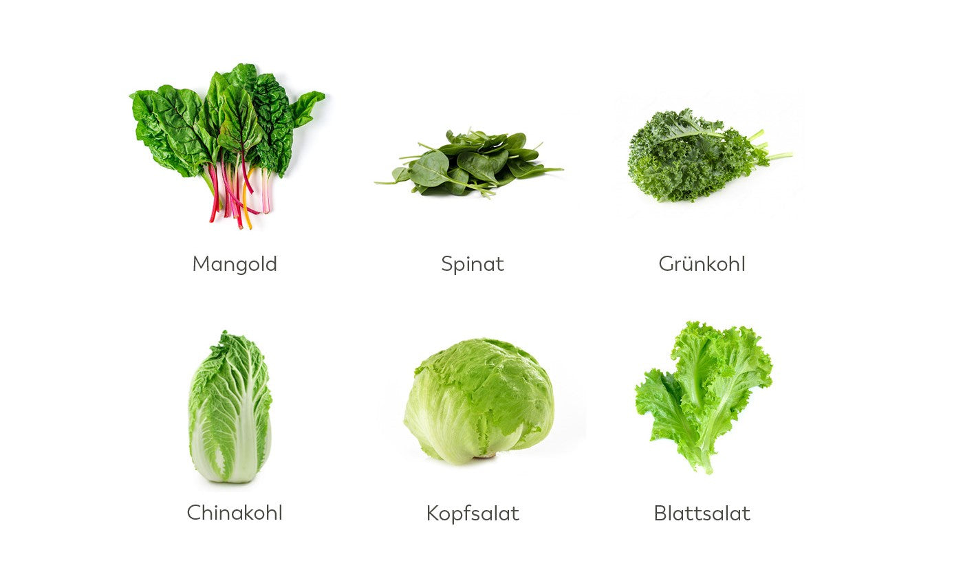 hydroponic_de1 hydroponic_de1