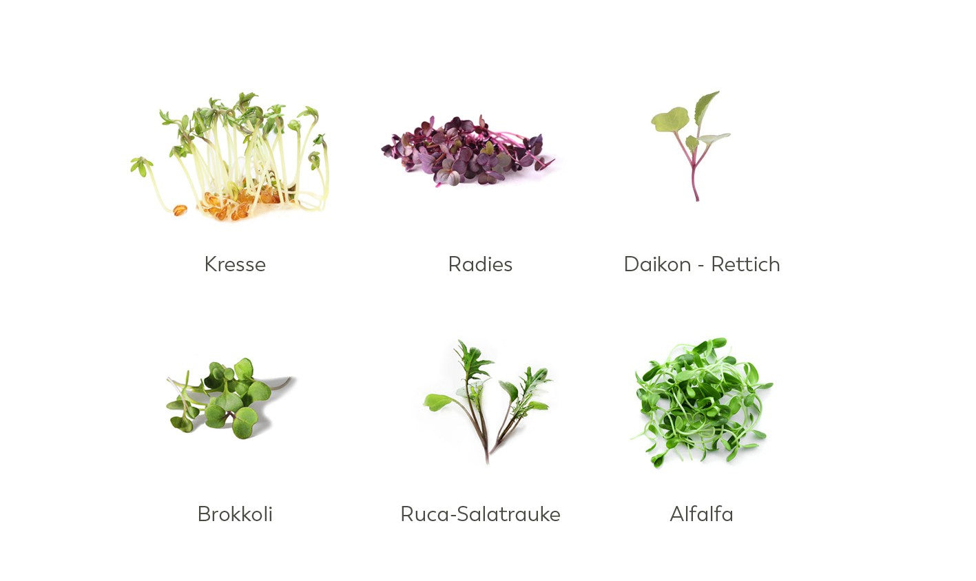 microgreens_de1 microgreens_de1